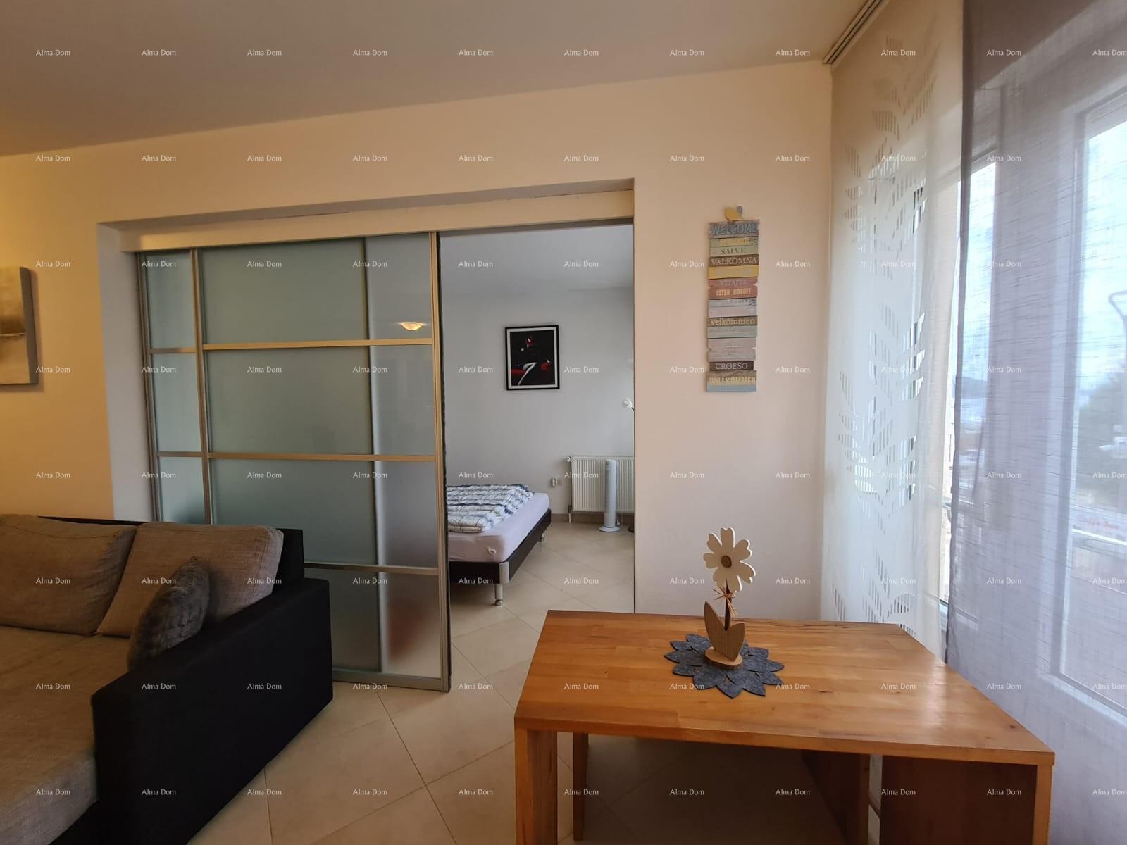 Flat For sale - ISTARSKA MEDULIN
