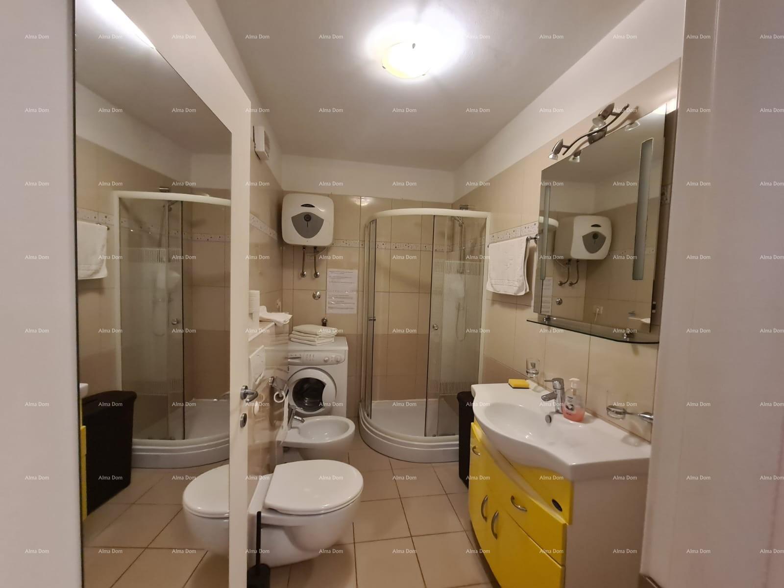 Flat For sale - ISTARSKA MEDULIN