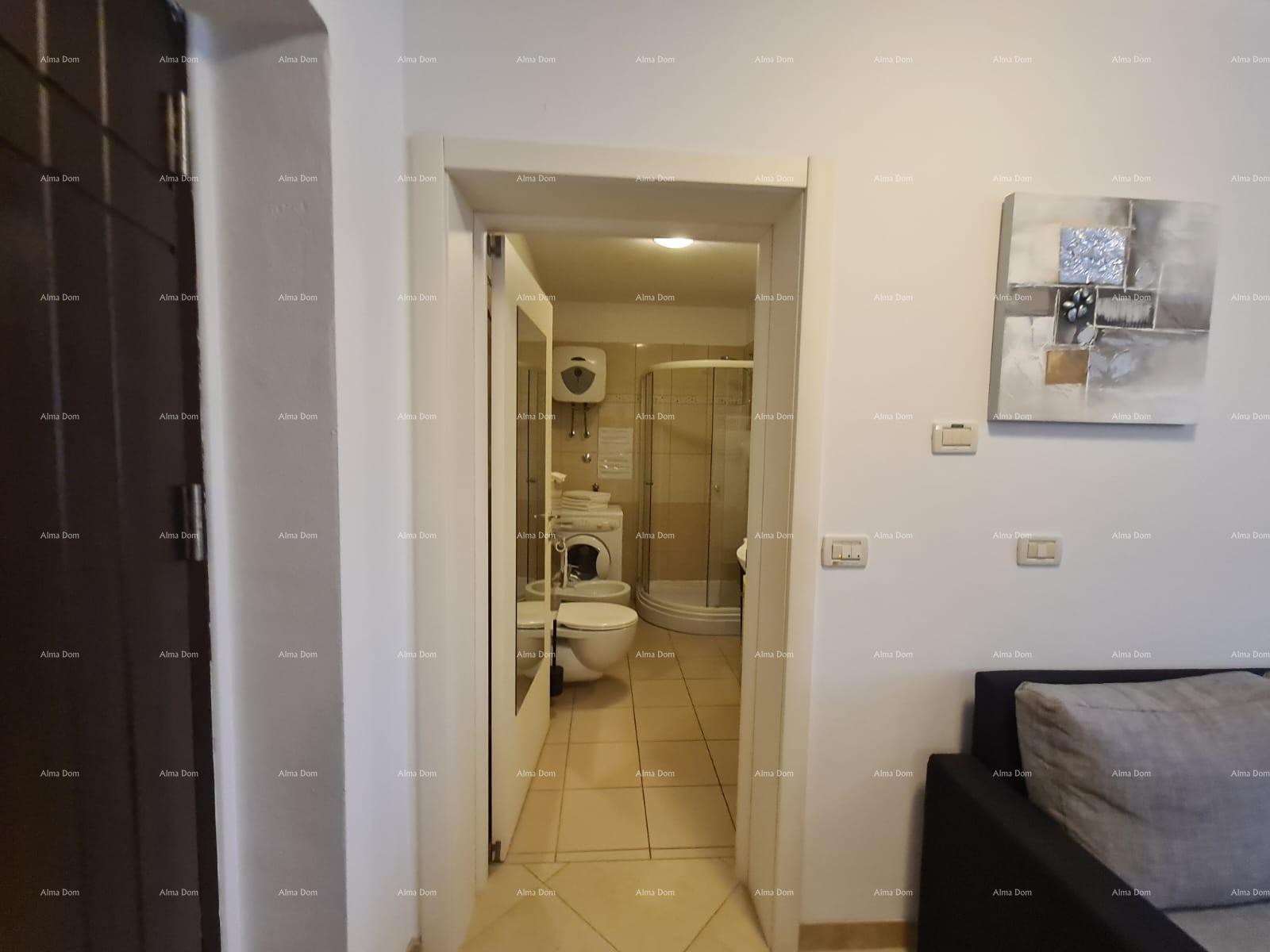 Flat For sale - ISTARSKA MEDULIN