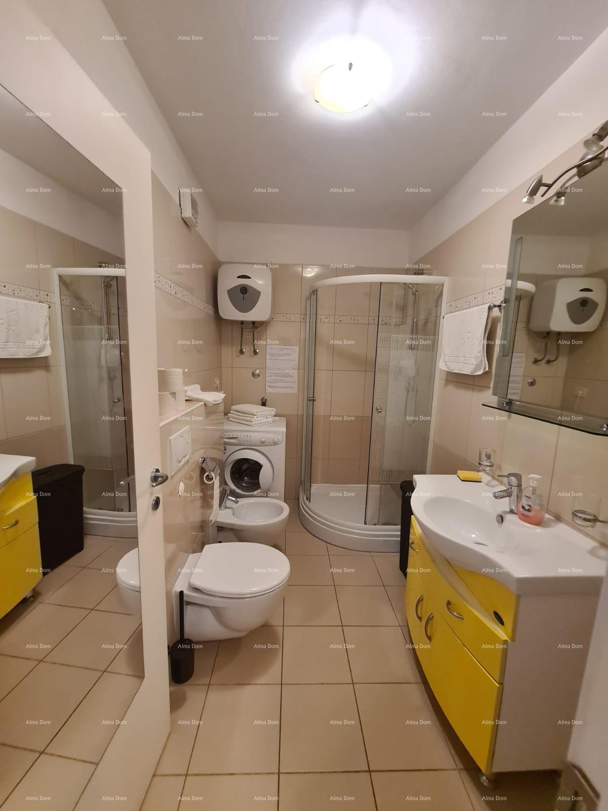 Flat For sale - ISTARSKA MEDULIN