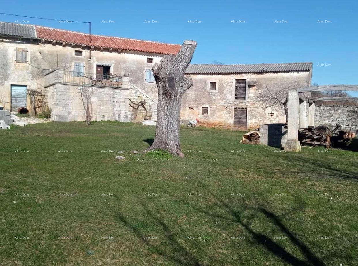House For sale STARI PAZIN