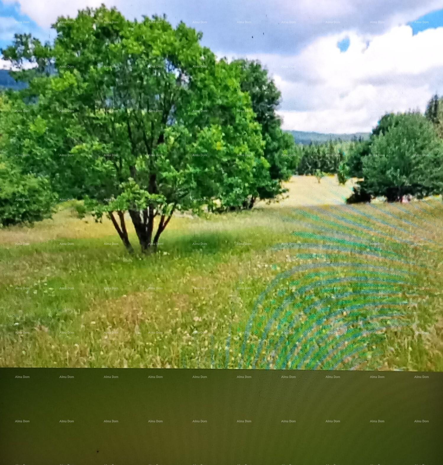Grundstück Zu verkaufen - Istarska Poreč - foto 1/1