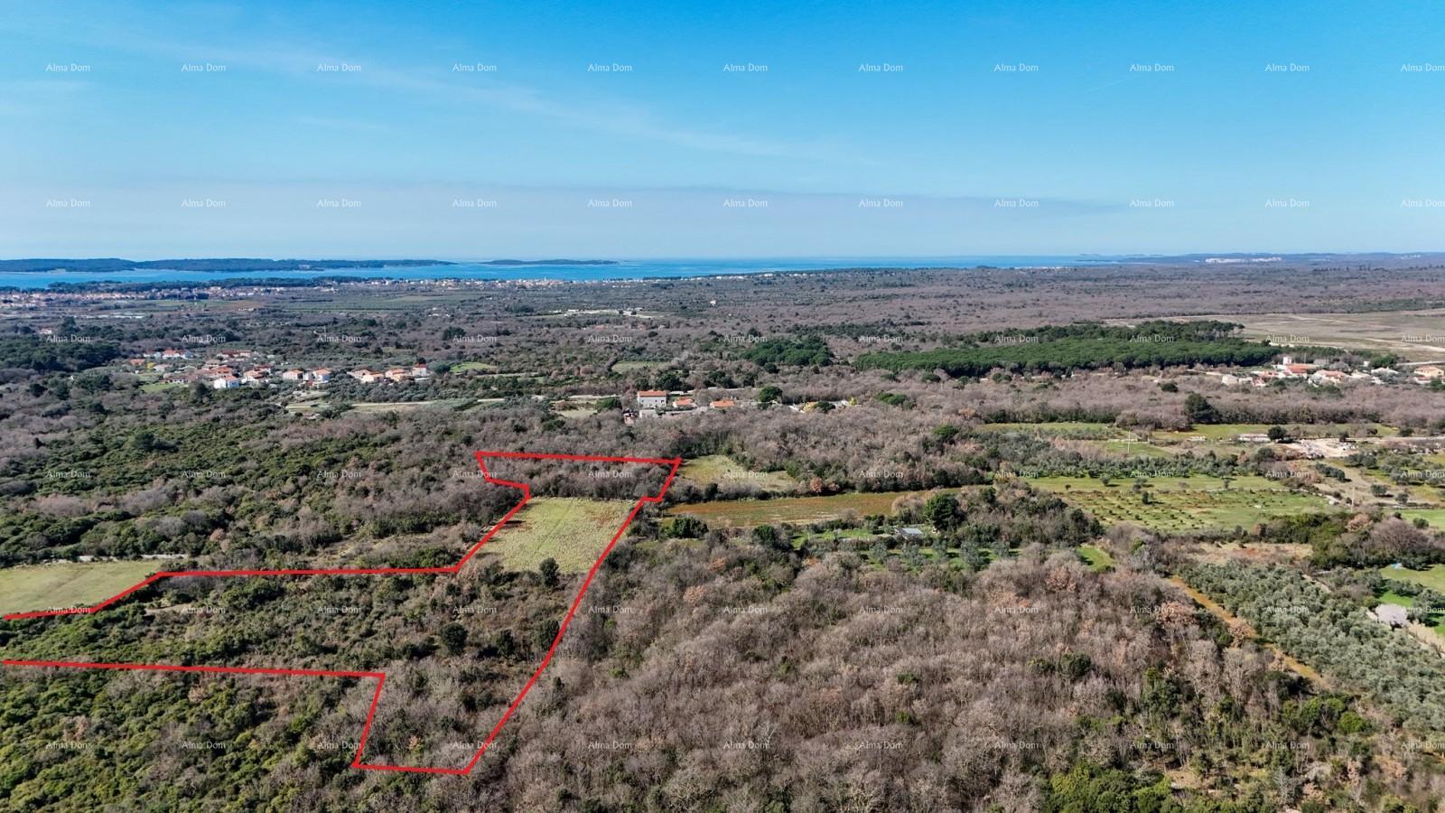 Land For sale GALIžANA