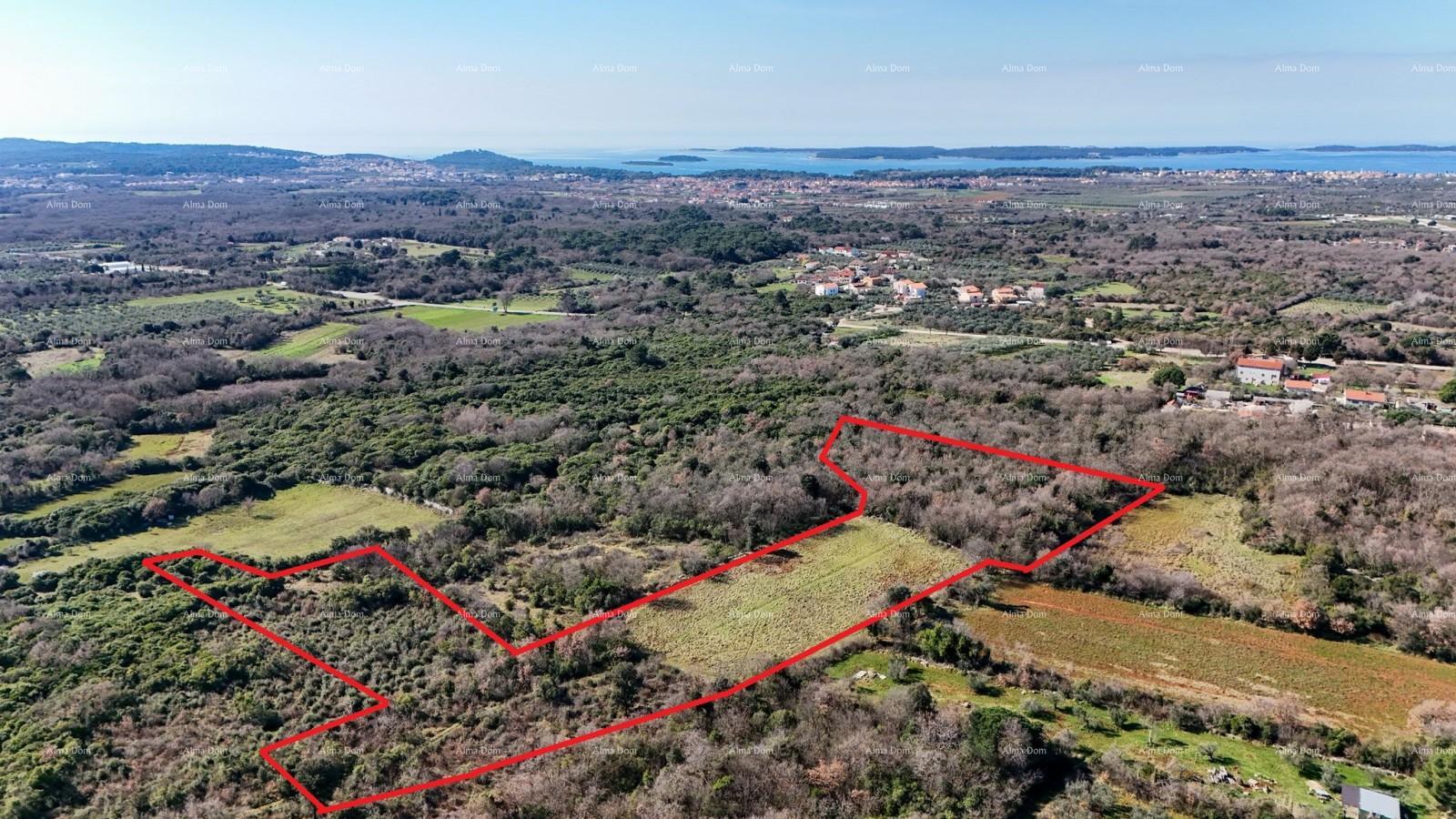 Land For sale - ISTARSKA VODNJAN