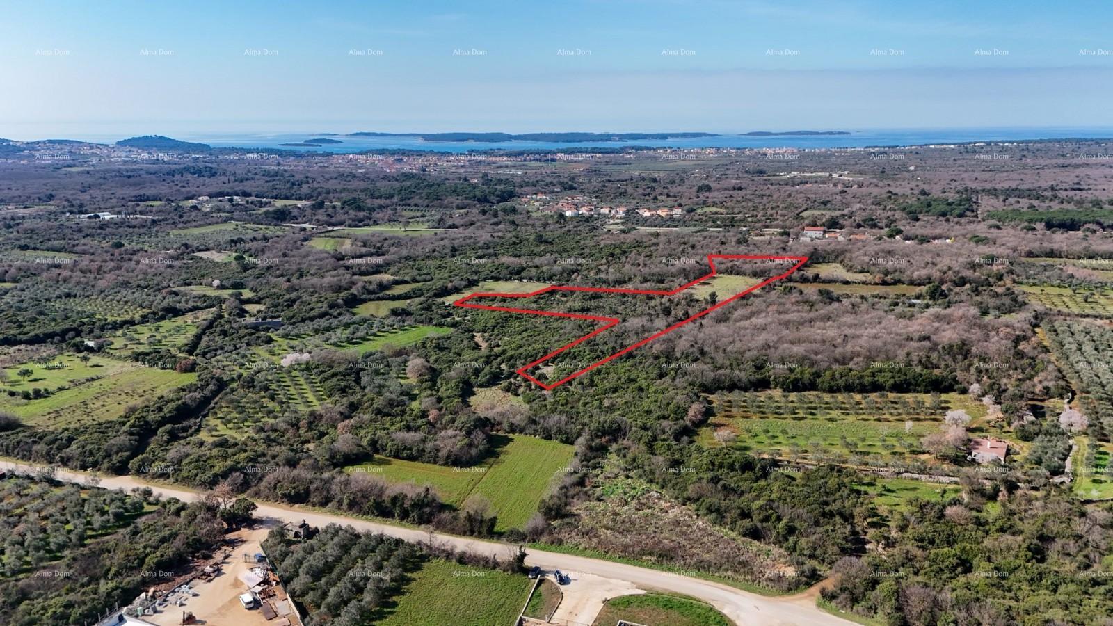 Land For sale - ISTARSKA VODNJAN