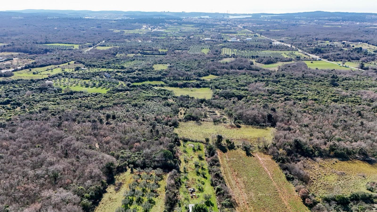 Land For sale - ISTARSKA VODNJAN