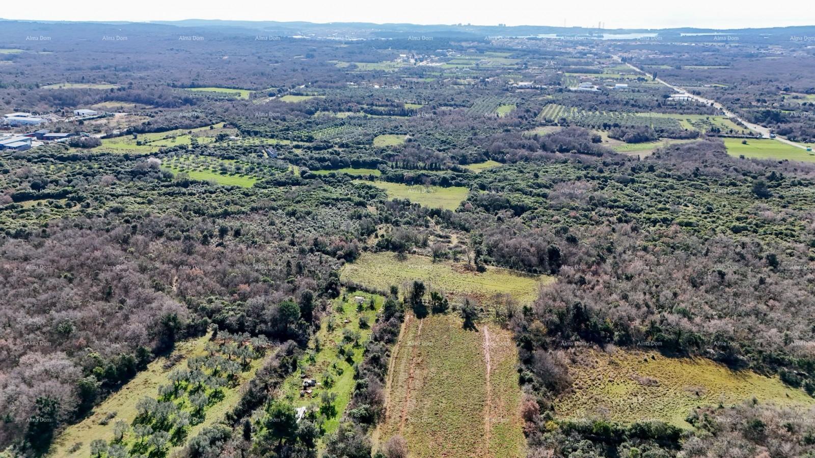 Land For sale - ISTARSKA VODNJAN