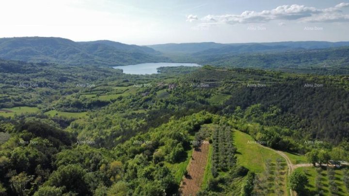 Terreno in vendita 1162 m² – Grimalda