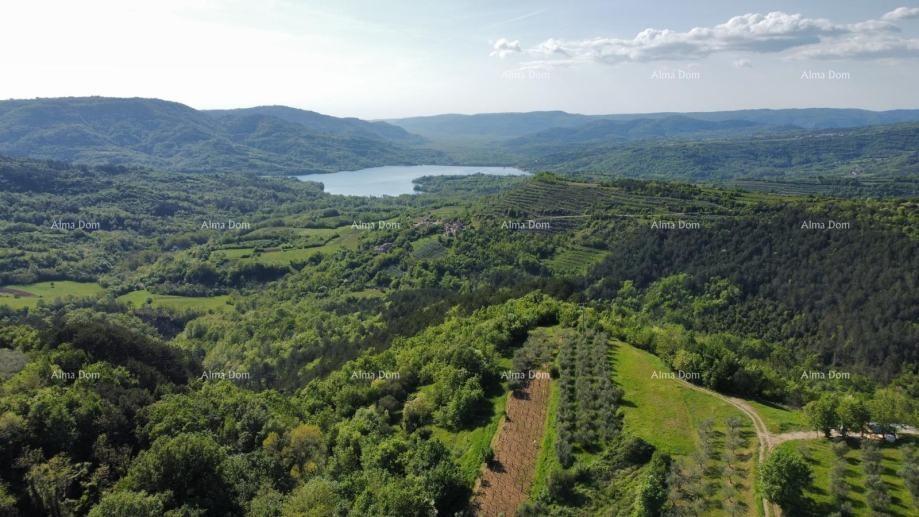 Pozemek Na prodej GRIMALDA