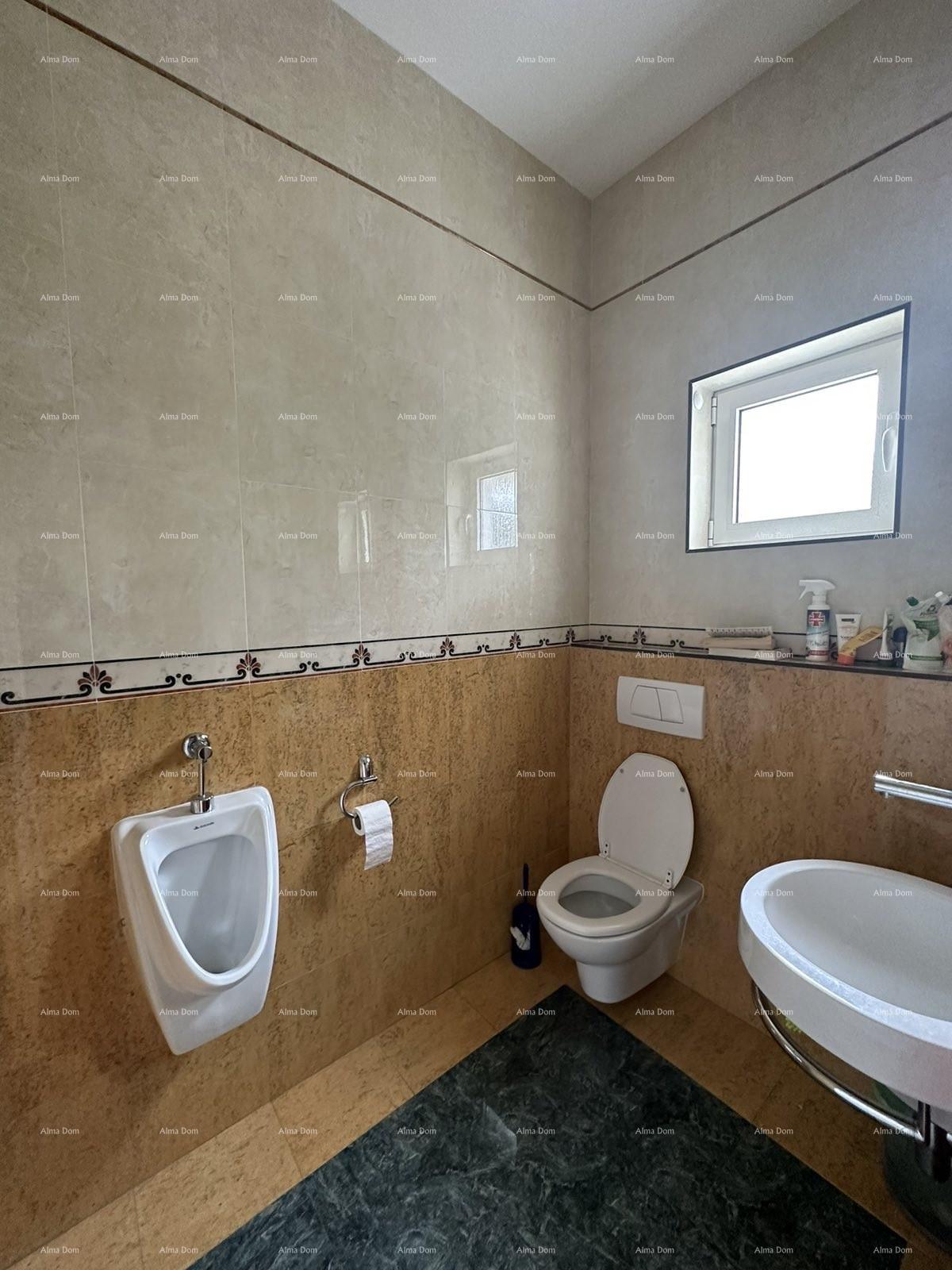 House For sale - ISTARSKA MEDULIN