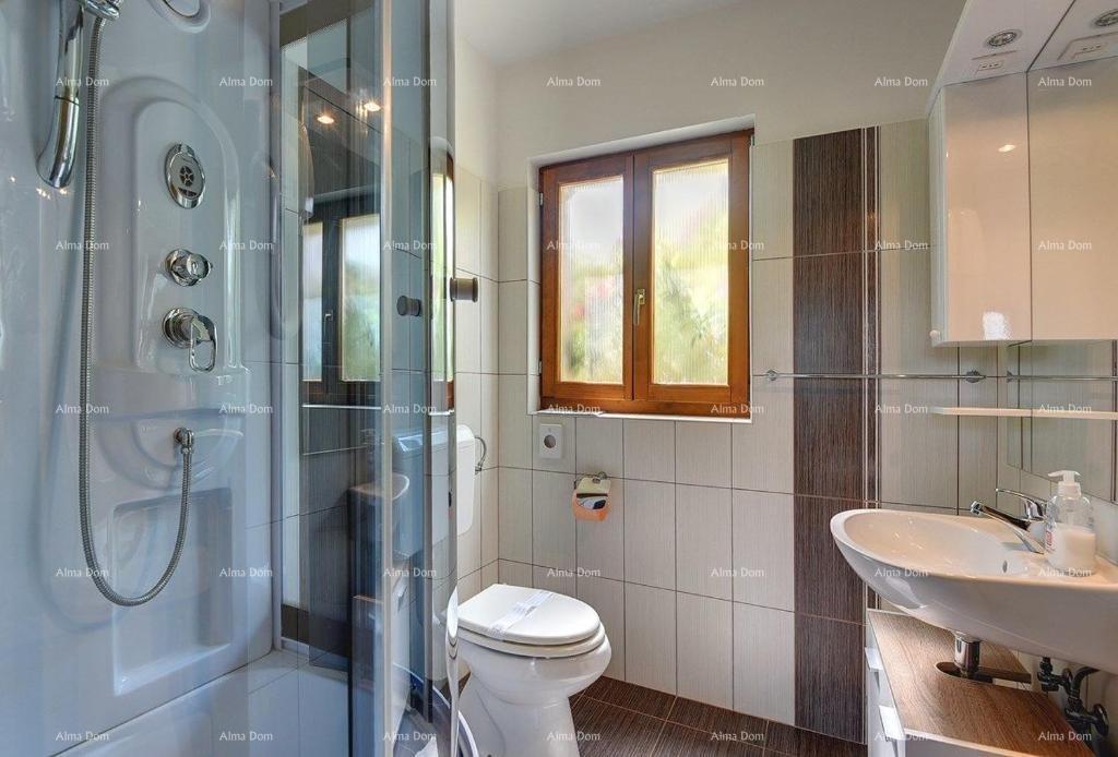 House For sale - ISTARSKA PAZIN