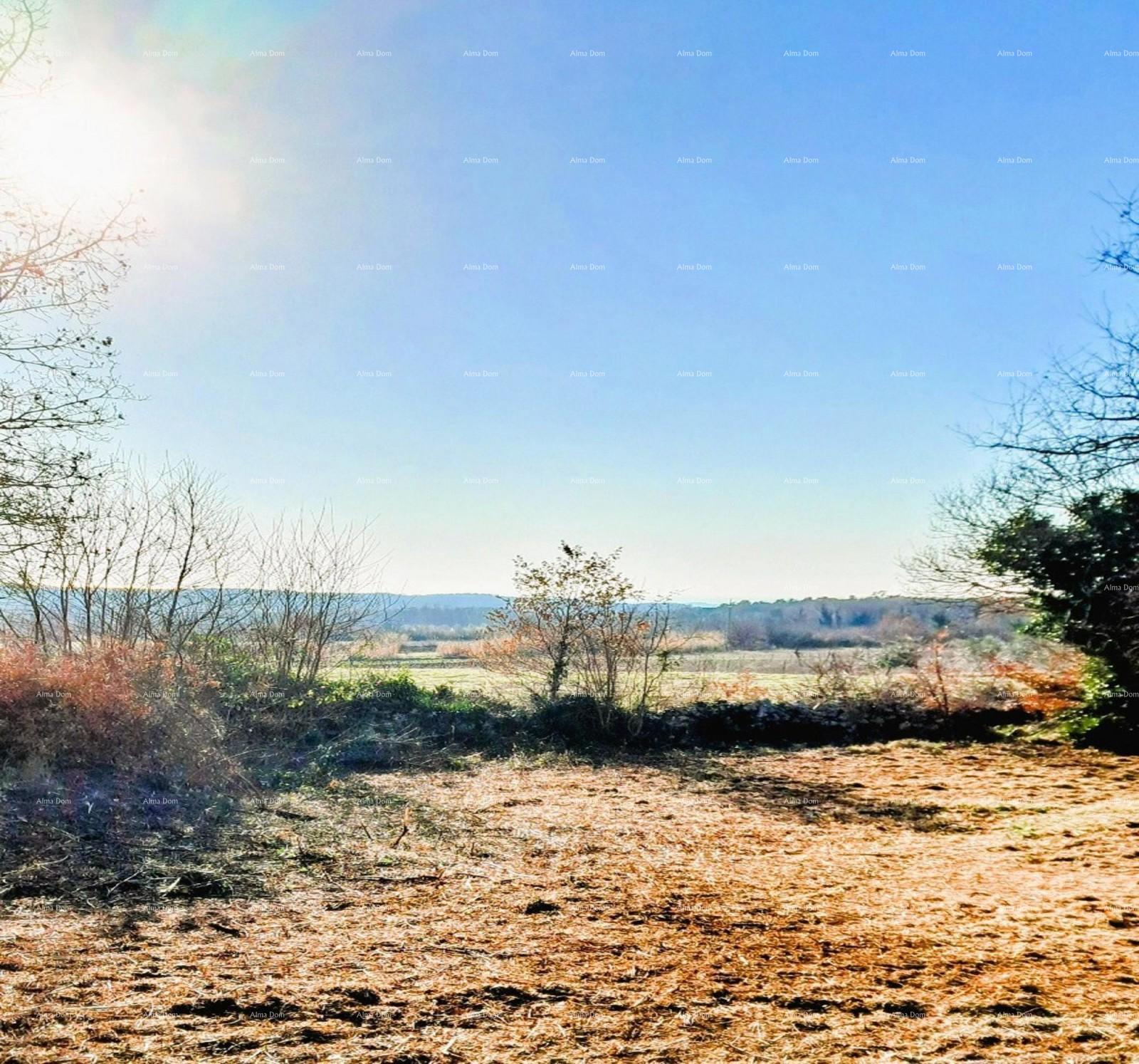 Działka Na sprzedaż - Istarska Višnjan - foto 3/3