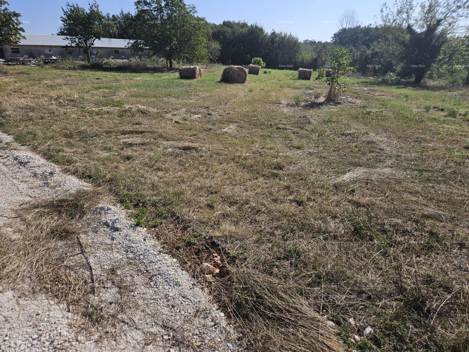 Parcela Na predaj - ISTARSKA ŽMINJ