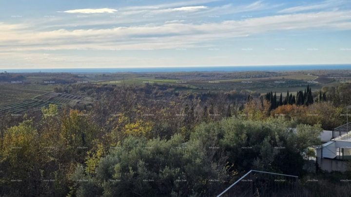 Zemljište na prodaju 1473 m² – Buje