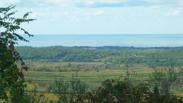 Land For sale - Istarska Buje - foto 2/2