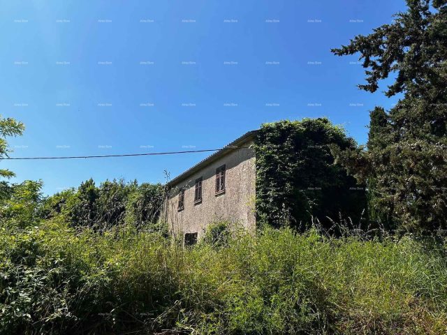 House For sale - Istarska Barban - foto 4/15