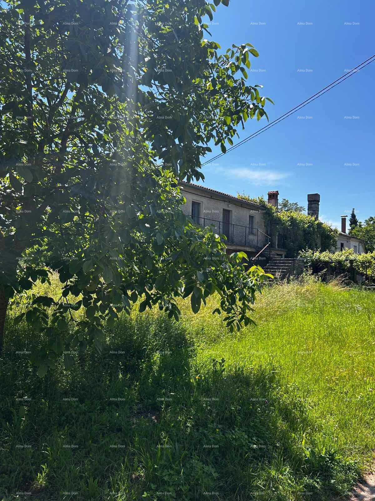 House For sale - ISTARSKA BARBAN