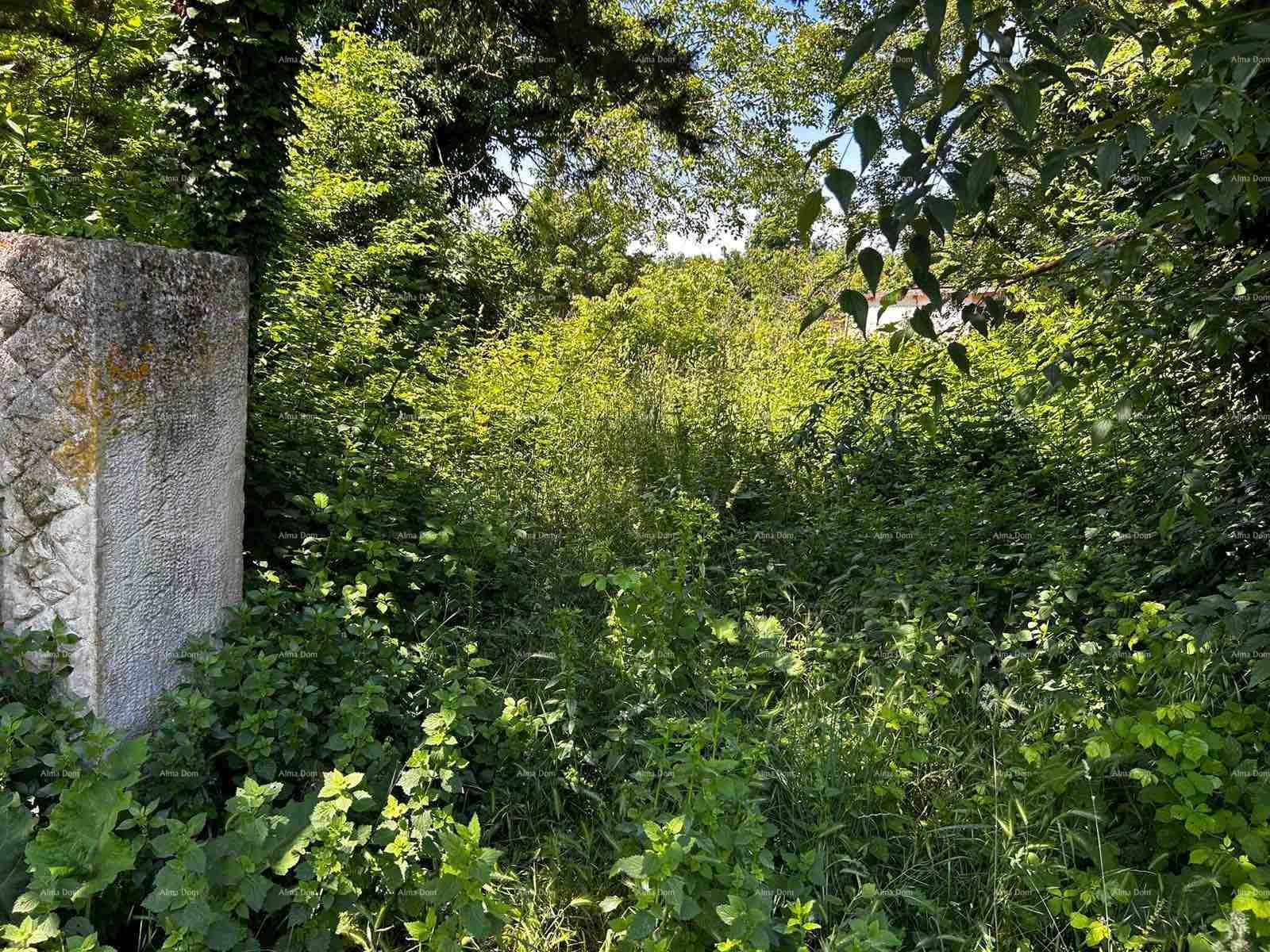 House For sale - ISTARSKA BARBAN