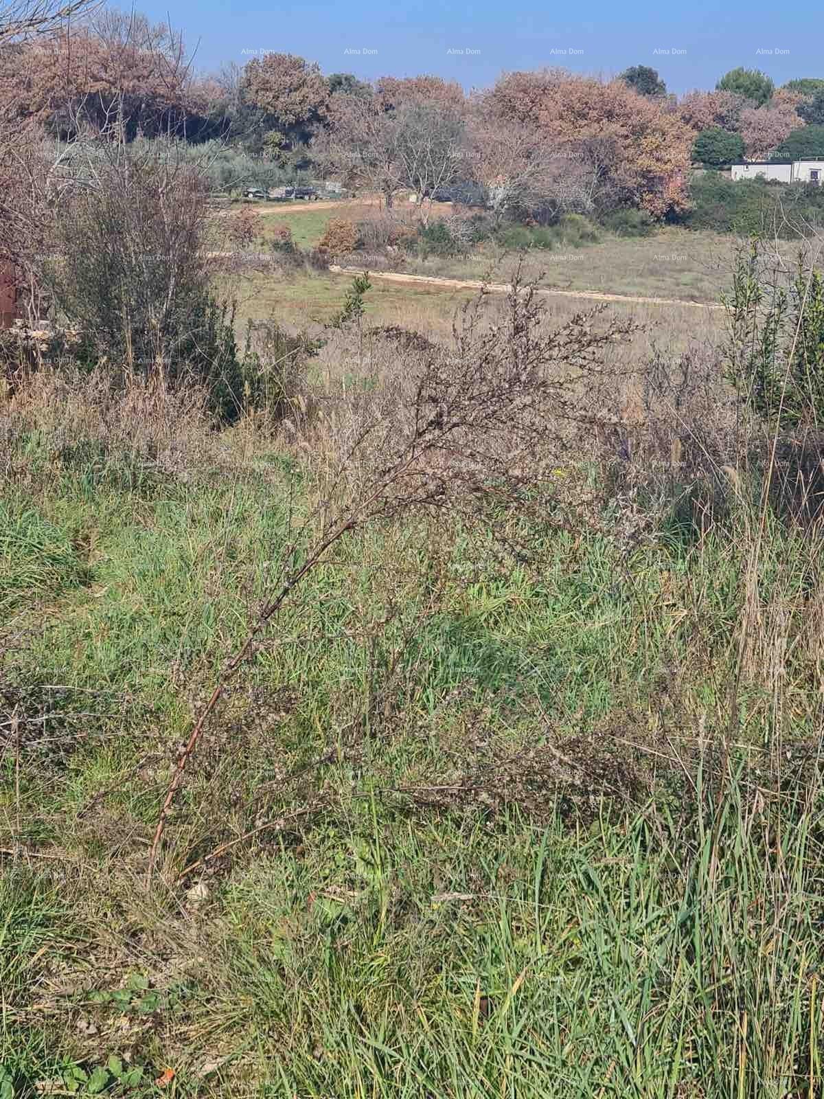 Pozemok Na predaj - ISTARSKA MEDULIN