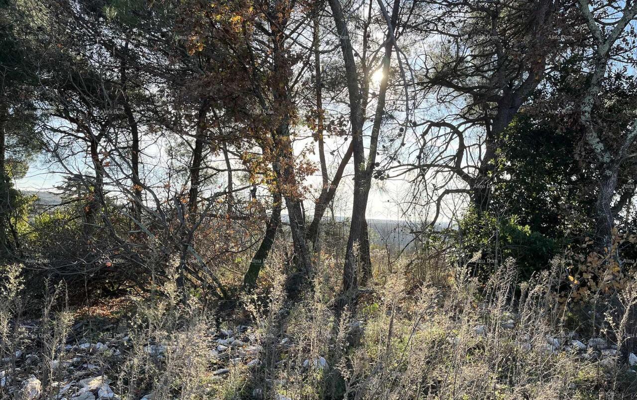 Land For sale - ISTARSKA BUJE
