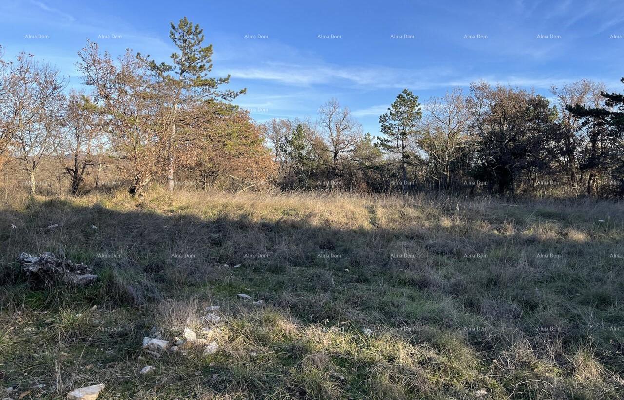 Land For sale - ISTARSKA BUJE