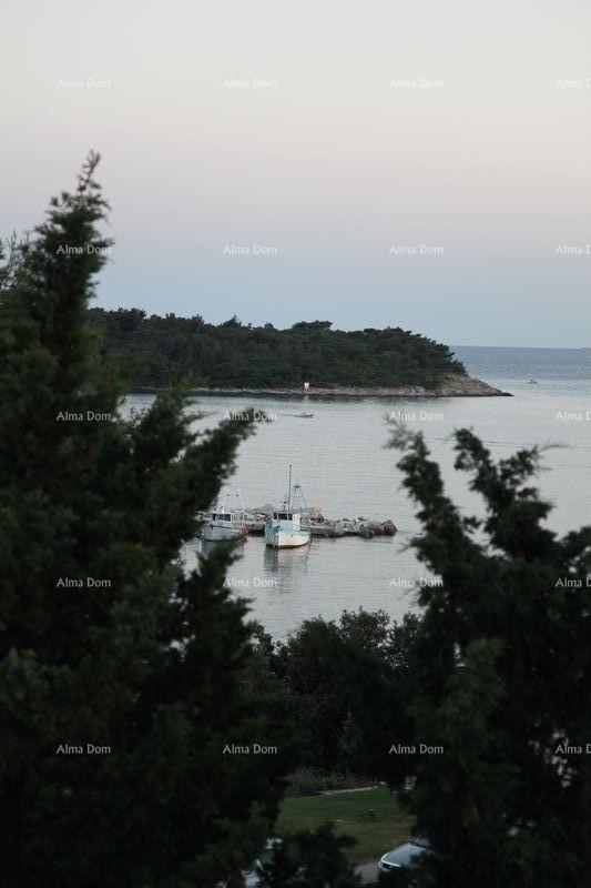 House For sale - ISTARSKA MEDULIN