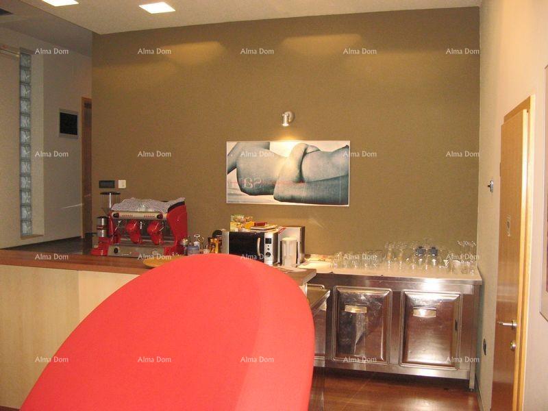 House For sale - ISTARSKA MEDULIN