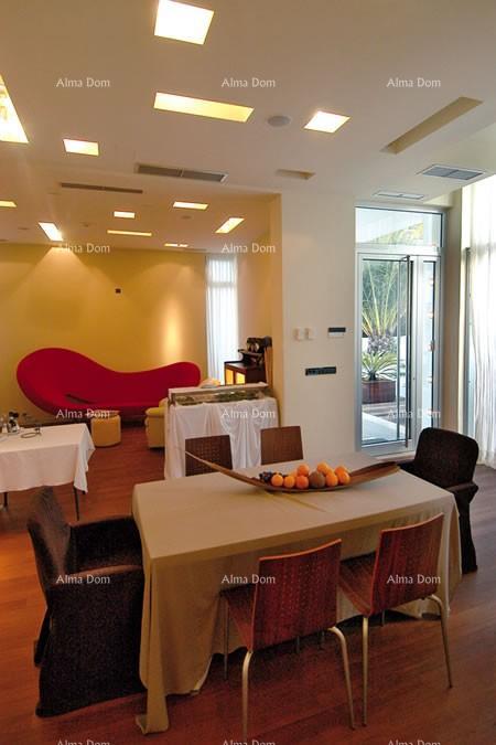 House For sale - ISTARSKA MEDULIN