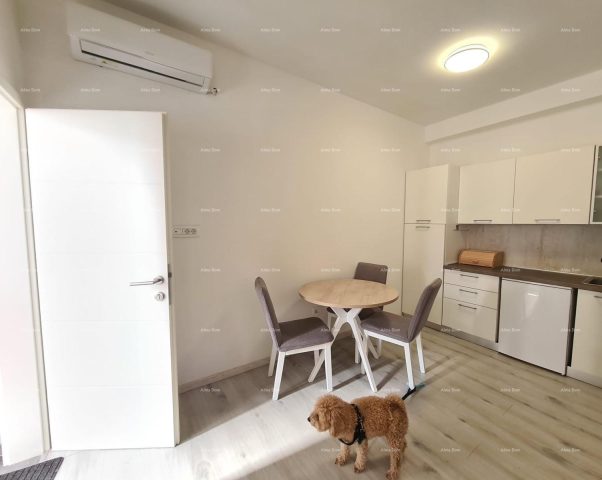 Apartment Zu verkaufen - Istarska Pula - foto 3/19
