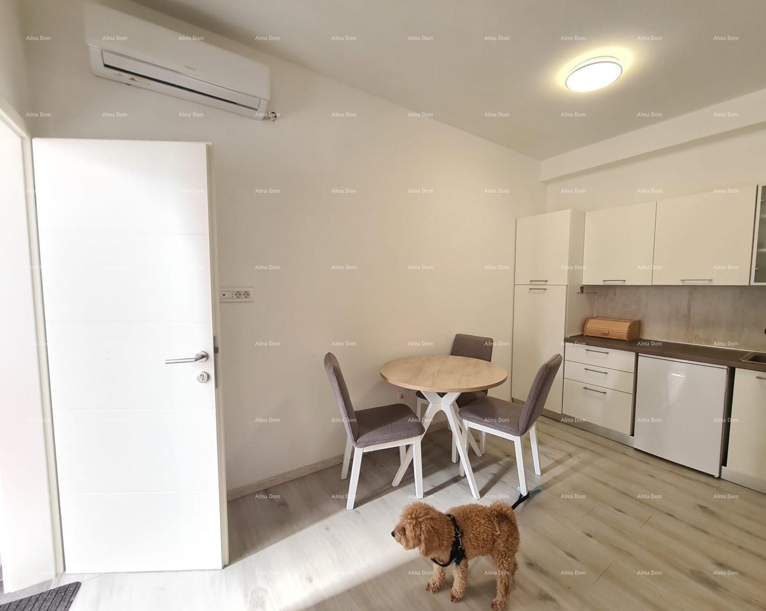 Apartment Zu verkaufen - Istarska Pula - foto 3/19