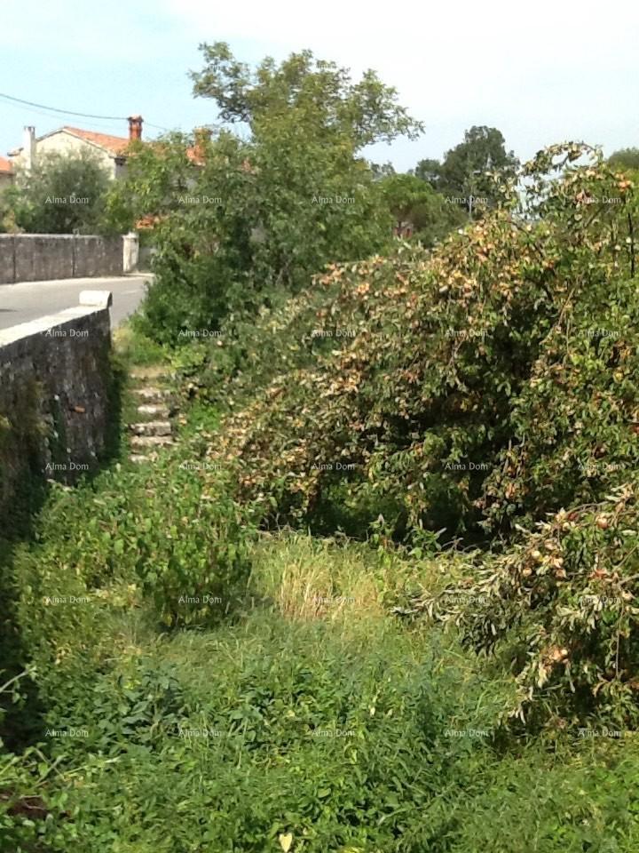 Casa In vendita - ISTARSKA SVETI PETAR U ŠUMI
