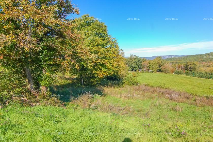 Terreno In vendita - Istarska Karojba - foto 1/4