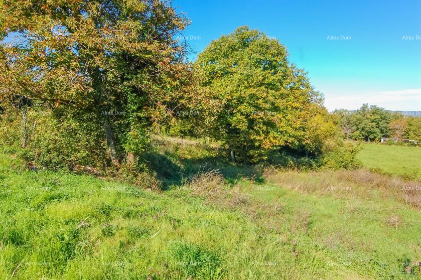 Terreno In vendita - Istarska Karojba - foto 3/4