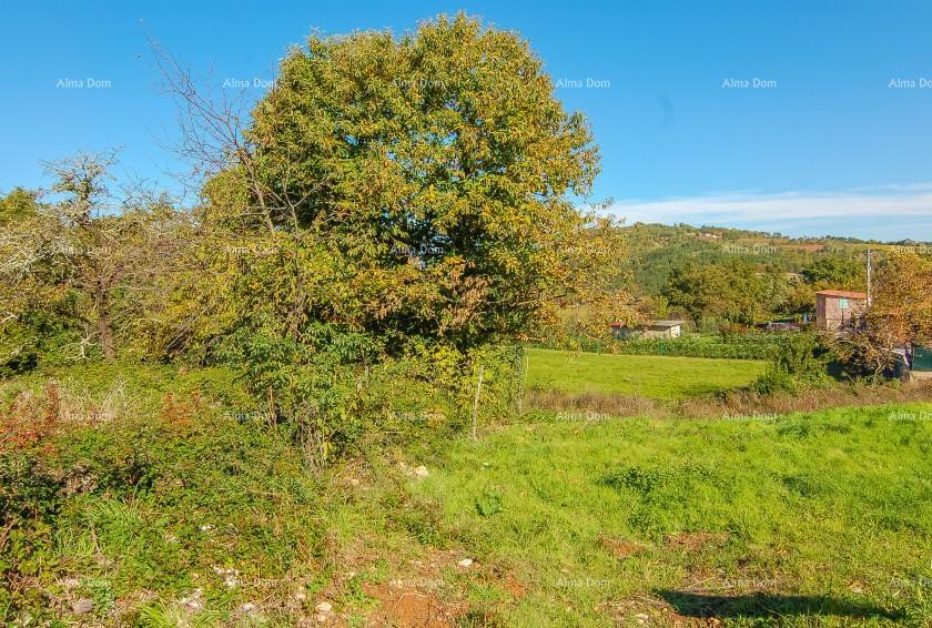 Terreno In vendita - Istarska Karojba - foto 4/4