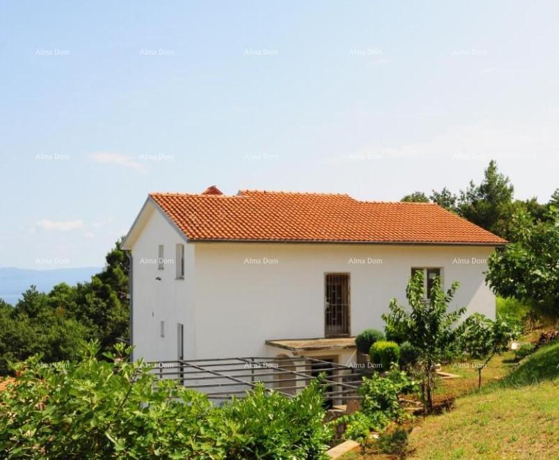 Haus Zu verkaufen - ISTARSKA LABIN