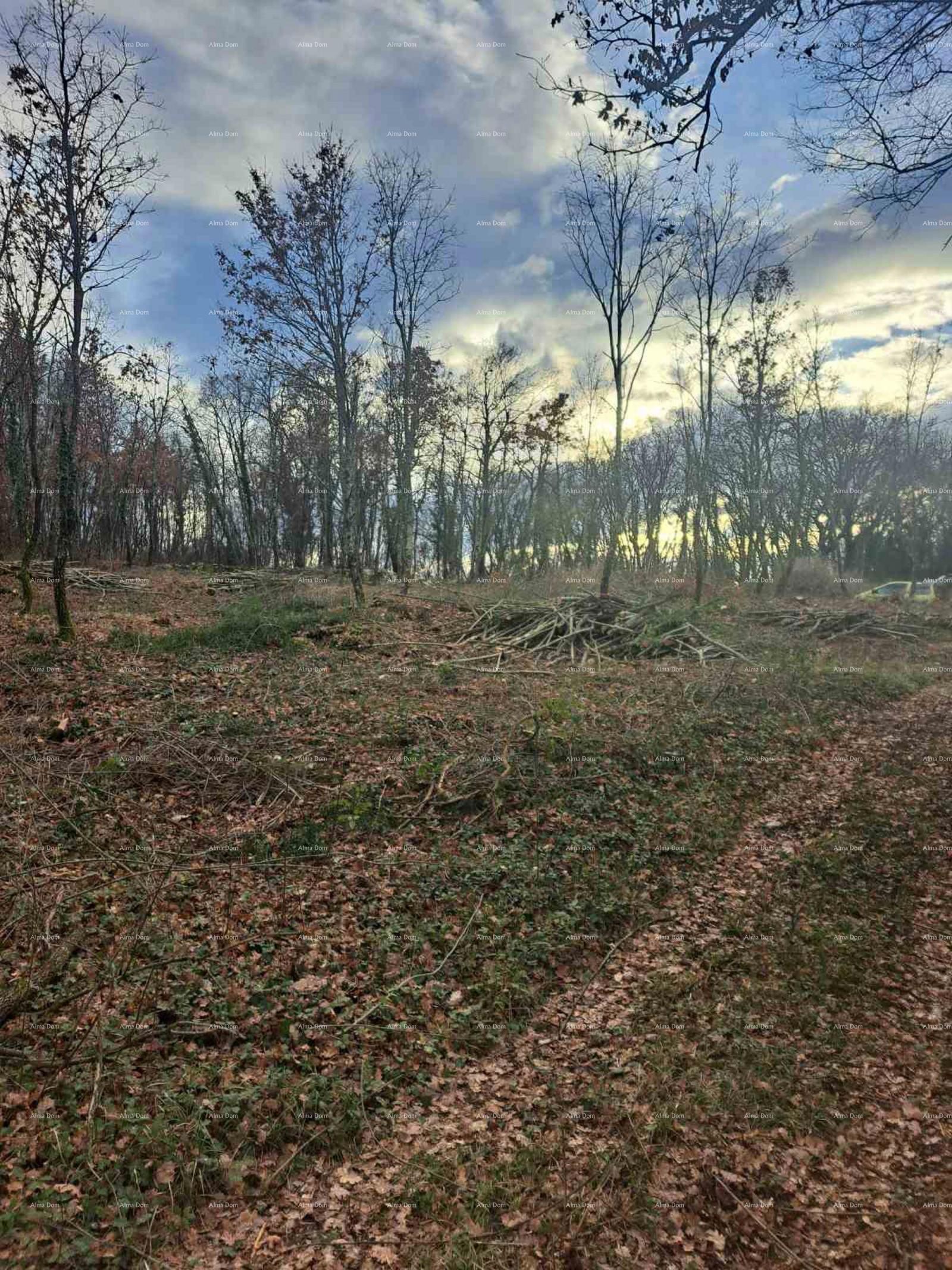 Działka Na sprzedaż - ISTARSKA TINJAN
