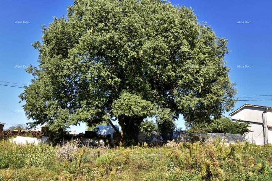 Parcela Na predaj - ISTARSKA SVETVINčENAT