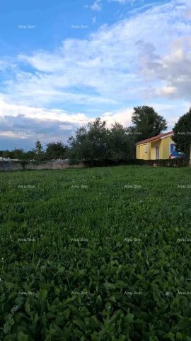 House For sale - Istarska Svetvinčenat - foto 5/6