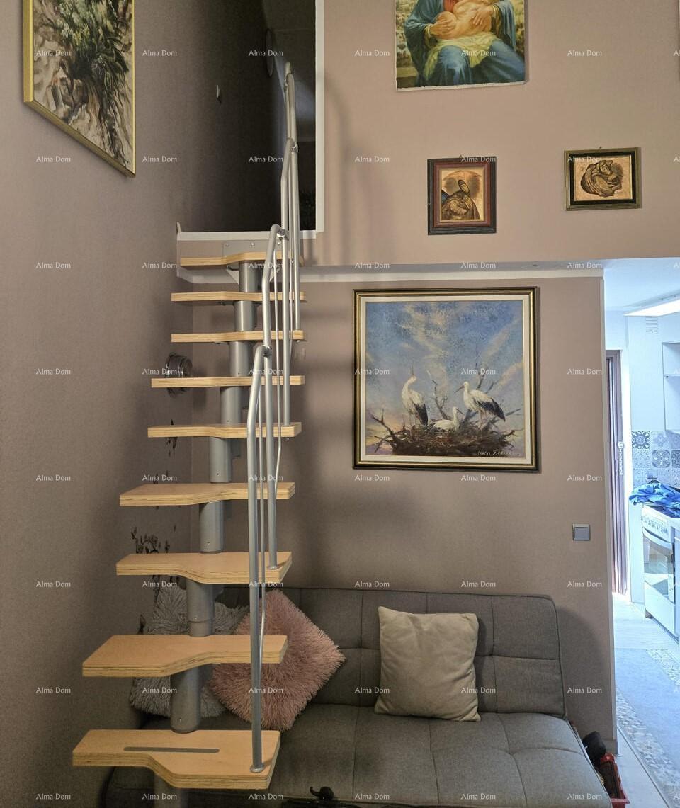 Stan Na prodaju - ISTARSKA POREč