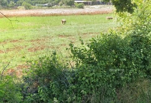 Terrain à vendre – Muntić