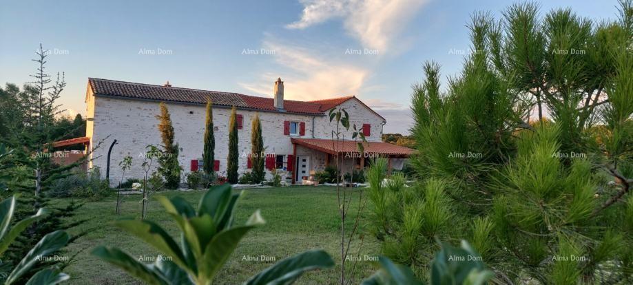 House For sale - Istarska žminj - foto 1/19