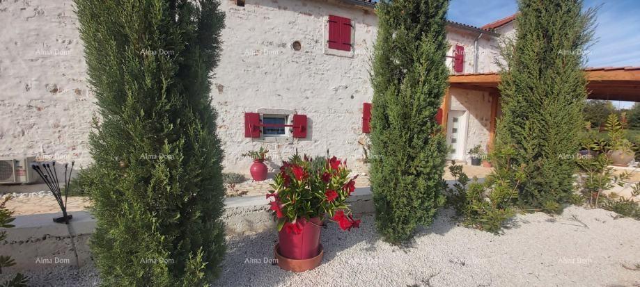 House For sale - Istarska žminj - foto 3/19