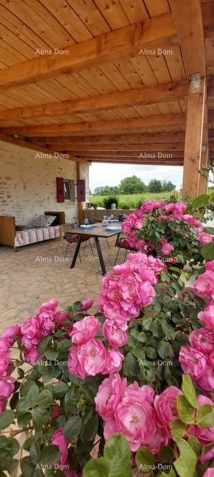 House For sale - ISTARSKA ŽMINJ