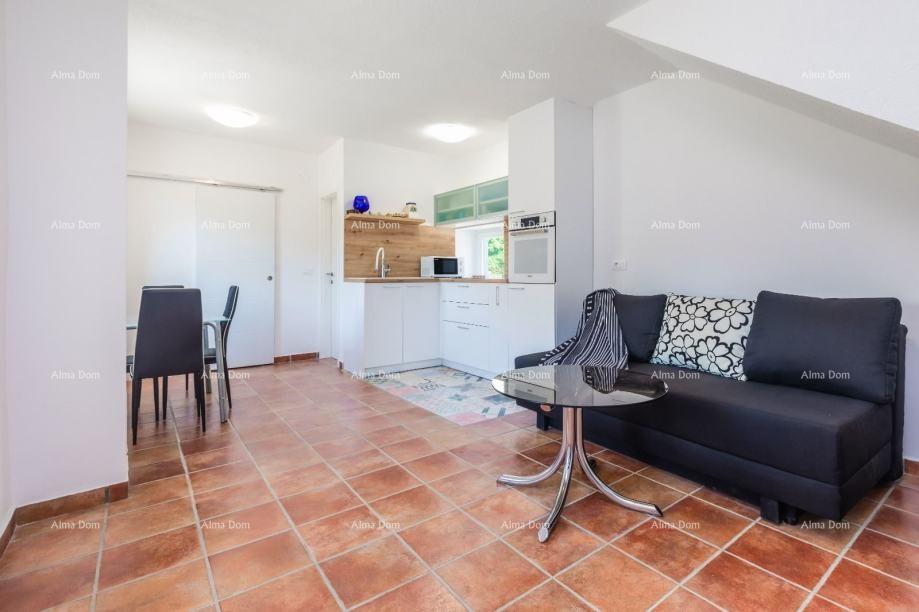 House For sale - ISTARSKA ŽMINJ