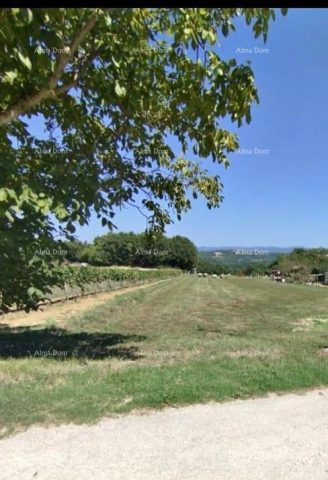 Grundstück zu verkaufen 2212 m² – Draguć