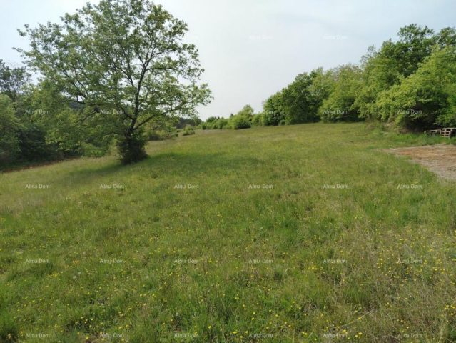Terrain À vendre - Istarska Grožnjan - foto 3/3