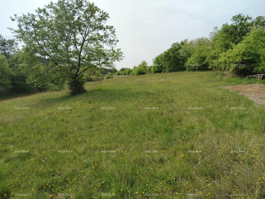 Terrain À vendre - ISTARSKA Grožnjan