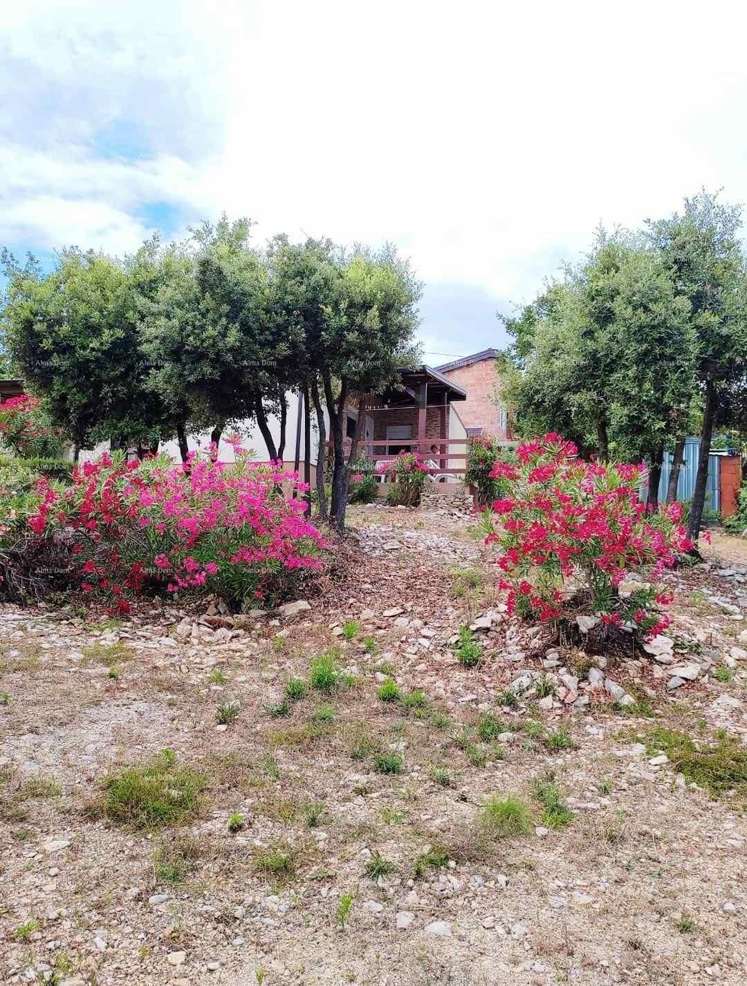 House For sale - ISTARSKA MARčANA