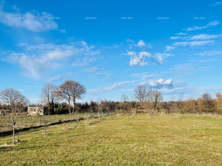 Terrain À vendre - Istarska Marčana - foto 1/2