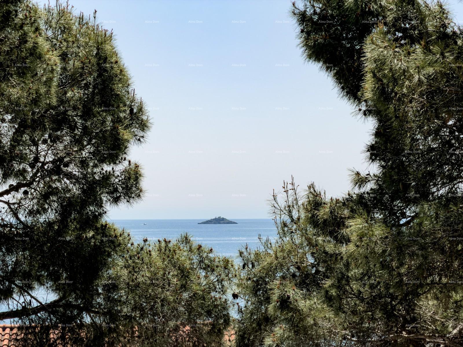 Haus Zu verkaufen - Istarska Rovinj - foto 1/24